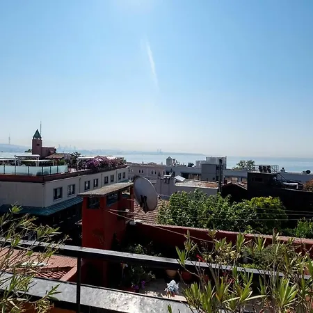 Villa Terrace Triplex In Peninsula Istanbul